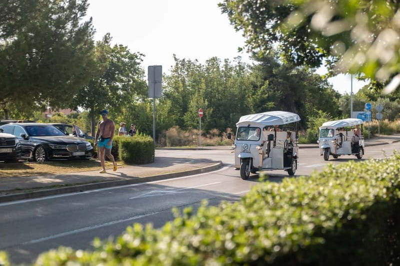 Zadar: Hidden Gems Eco Tuk Tuk Tour - A taste of daily life at Market Zadar